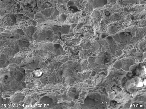 沖擊模擬斷口微觀形貌，韌窩特征