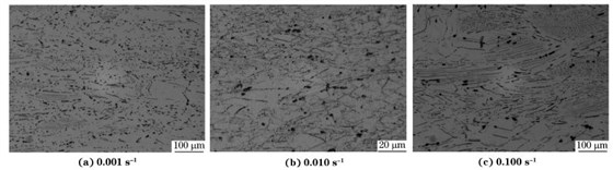 圖６ 在９８０ ℃、不同應(yīng)變速率下壓縮至應(yīng)變量為７０％后GH４１６９合金的顯微組織