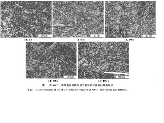 圖１ 在９００ ℃、不同道次間隔時間下變形后試驗鋼的顯微組織