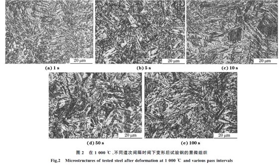 圖２ 在１０００ ℃、不同道次間隔時間下變形后試驗鋼的顯微組織