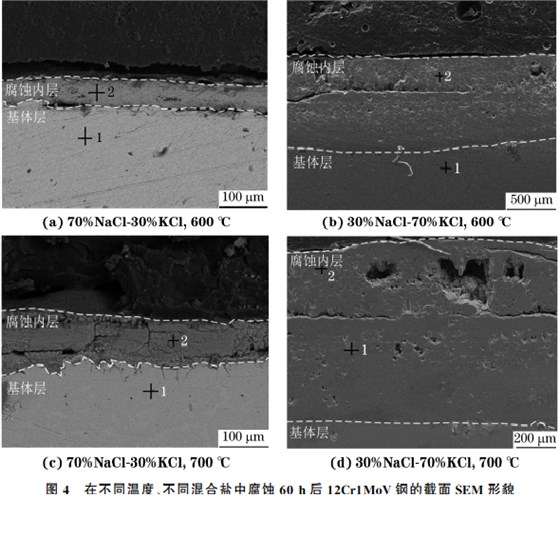 在不同溫度、不同混合鹽中腐蝕６０h后１２Cr１MoV鋼的截面SEM 形貌
