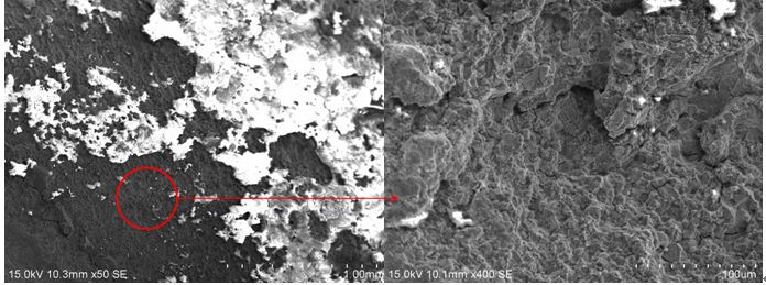 圖2 斷口源區(qū)宏、微觀形貌，沿晶特征+二次裂紋