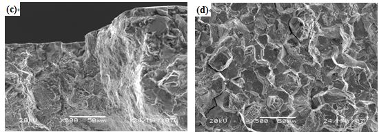 圖12-13 (c、d、e)斷口微觀形貌