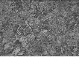 圖16-14 顯微組織 500&times;