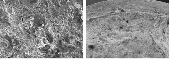 圖13-116 斷口心部微觀形貌 圖13-117 斷口邊沿微觀形貌，