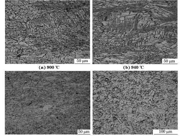圖５ 在不同溫度、應(yīng)變速率為０．０１０s－１下壓縮至應(yīng)變量為７０％后GH４１６９合金的顯微組織
