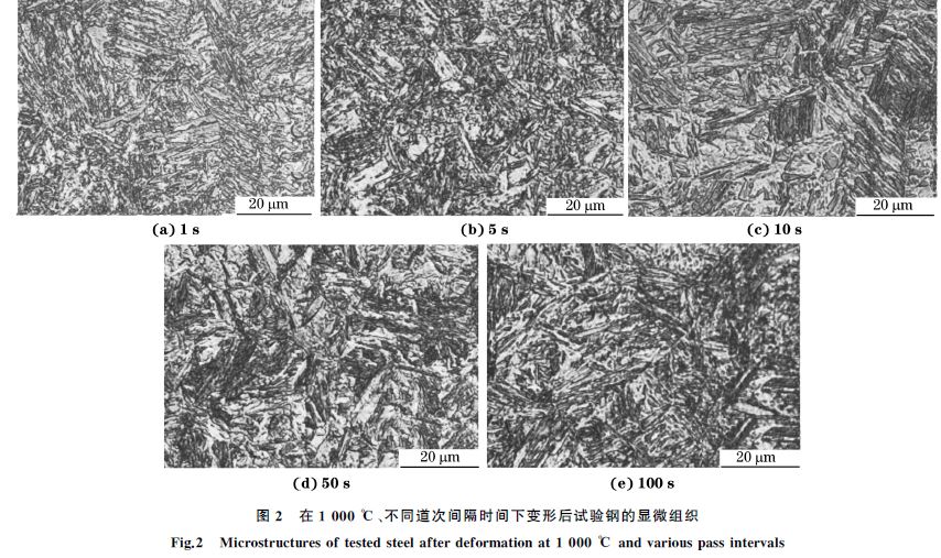 圖２ 在１０００ ℃、不同道次間隔時(shí)間下變形后試驗(yàn)鋼的顯微組織