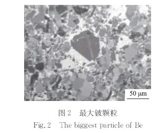 最大鈸顆粒 最大鈸顆粒